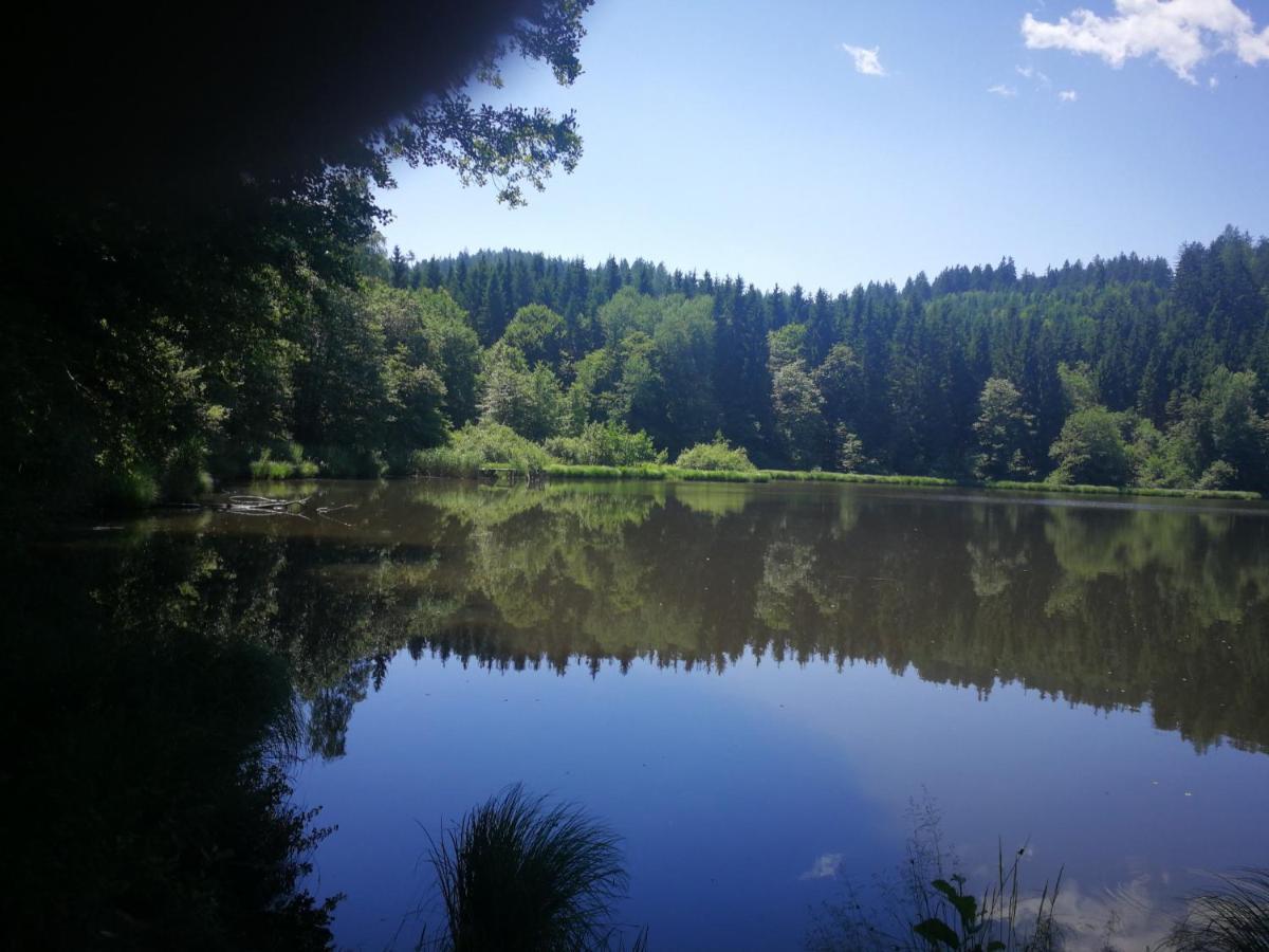 Fewo Strauss Ossiach Extérieur photo